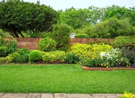 landscaping services Colonia